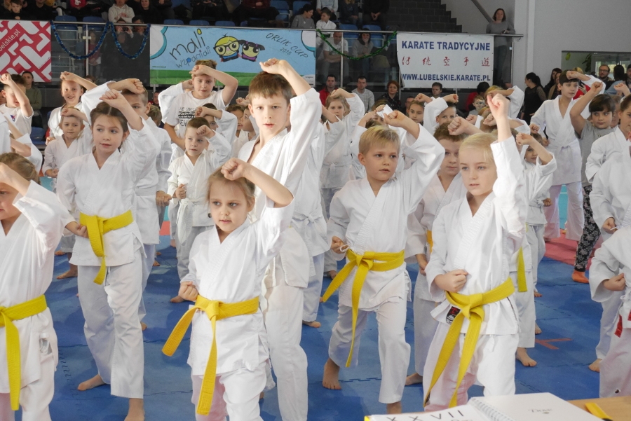 XXVII Mikołajkowy Turniej Dzieci w Karate Tradycyjnym (02.12.2018r. Świdnik)-relacja