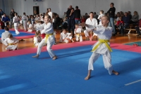 I edycja Międzywojewódzkiej Ligi Karate Tradycyjnego (03.02.2019, Ryki)